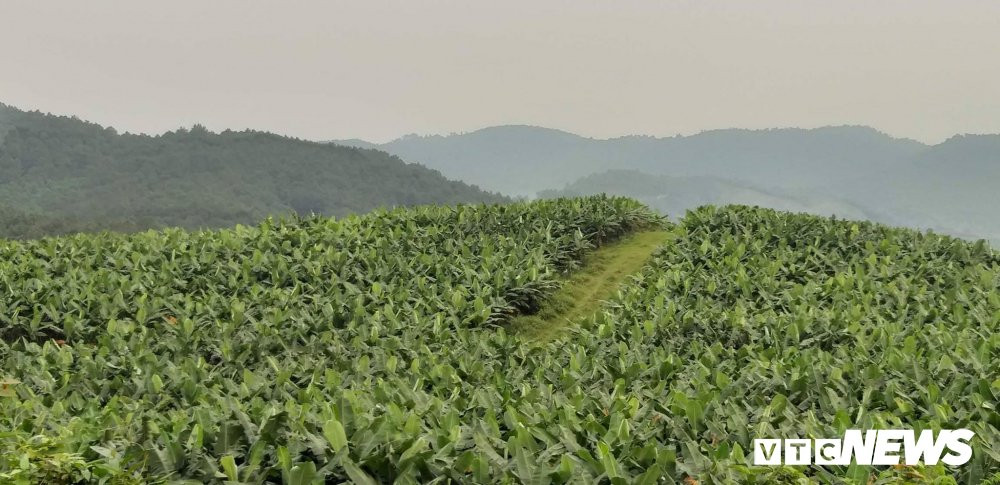 55875503_2156036427822232_7074632183935139840_n 7