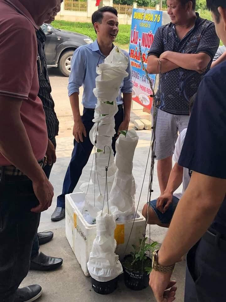 Tiết lộ của đại gia Hà Tĩnh ra Hải Phòng mua 2 chậu lan 3,5 tỷ