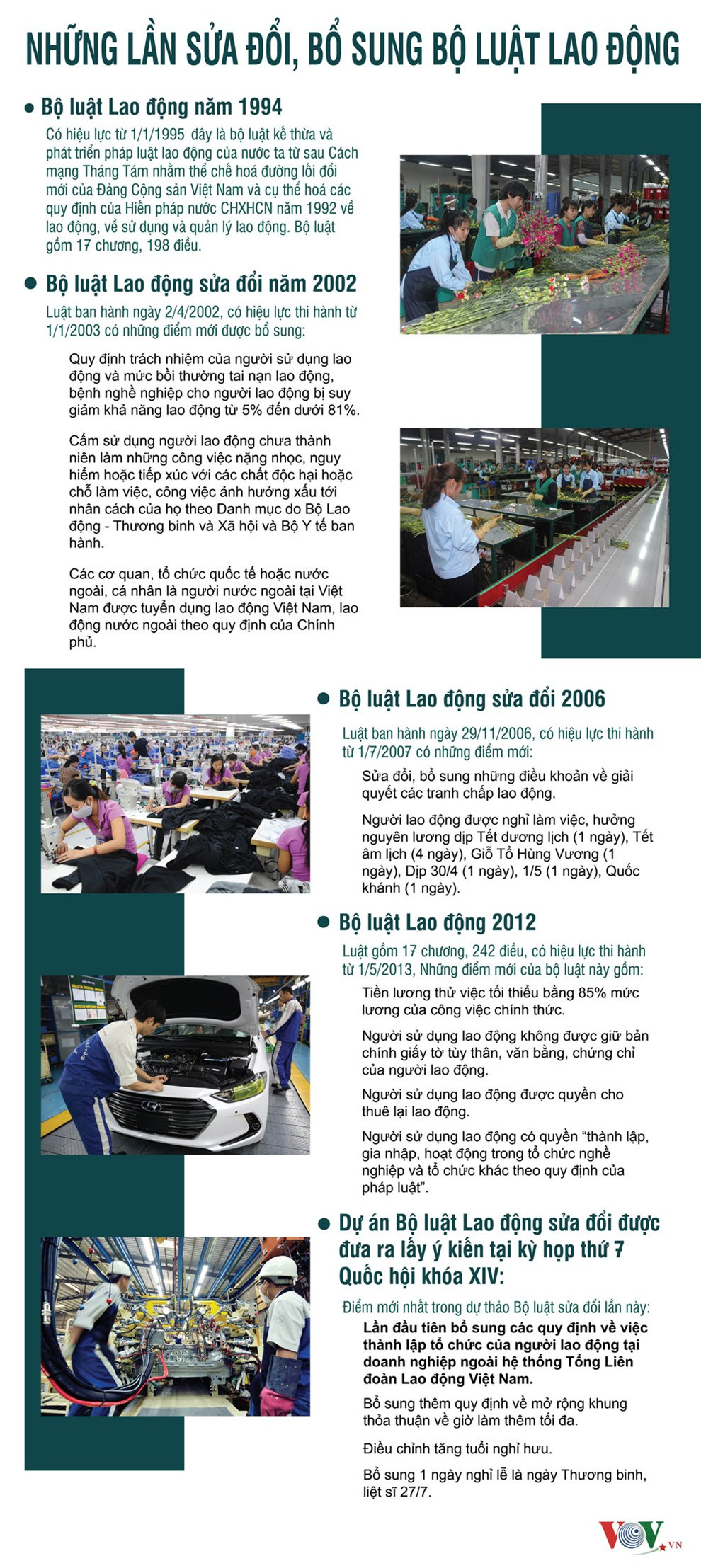 info_luat_lao_dong_ban_fine_znlx