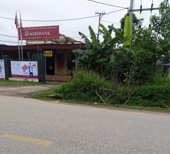 cuop-o-phu-tho-1456572