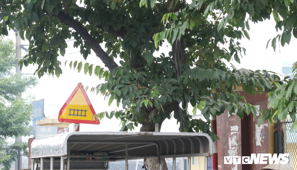 loi-ra-giap-bat-2 14