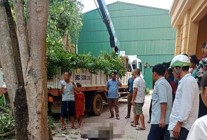 chat-cay-bi-chet-1438177 (1)