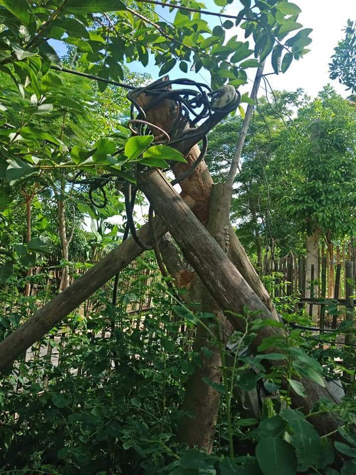 1 phút 9 lần mất điện, hàng trăm hộ dân ở Thanh Hóa bị cháy tivi, tủ lạnh