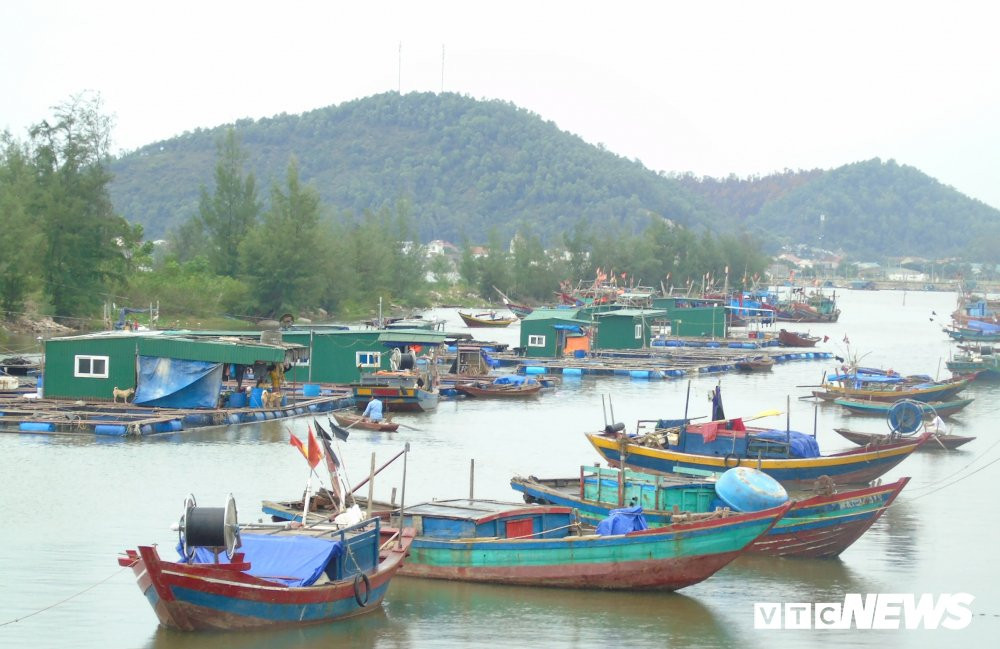 cam-tau-thuyen-1022127