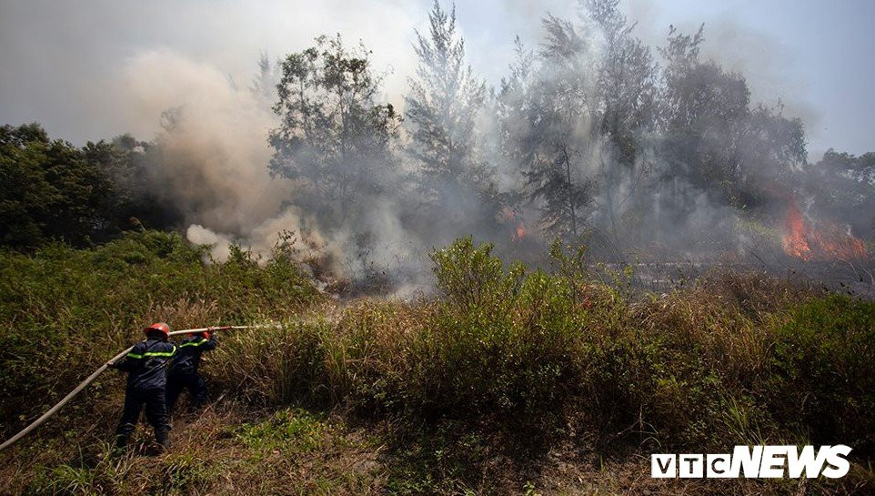 Anh-chay-rung-son-tra 1