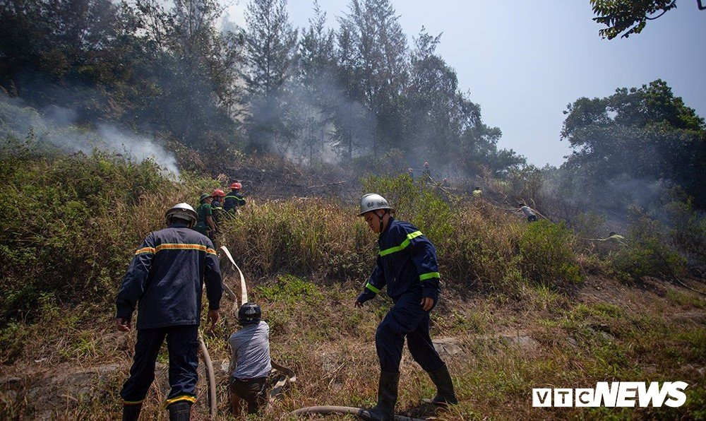 Anh-chay-rung-son-tra