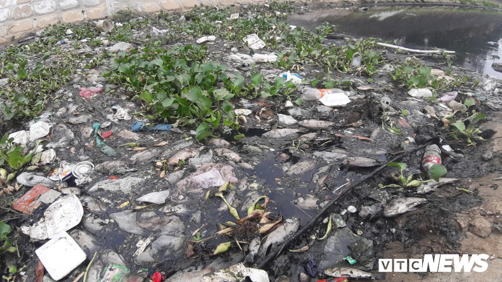 Anh-ca-chet-trang-kenh 3