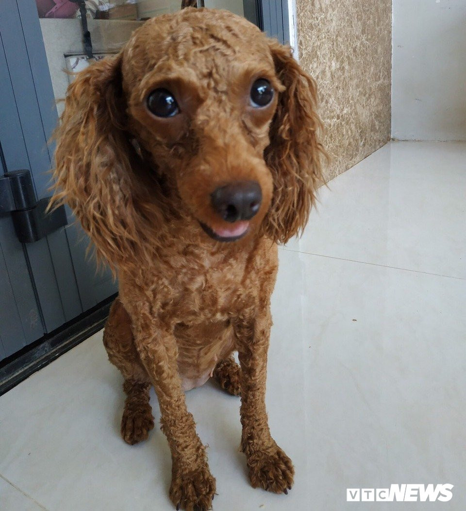 Anh-trom-cho-tang-nguoi-yeu