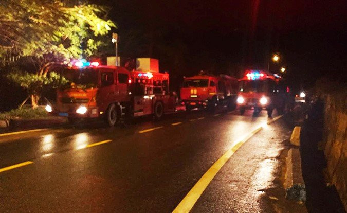 Anh-chay-rung-son-tra 2 4