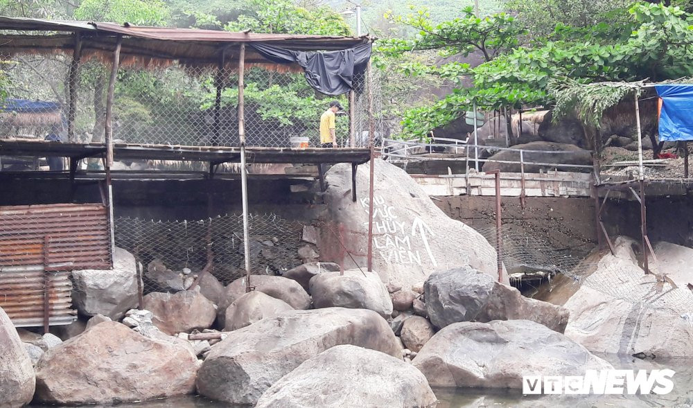 Anh-suoi-luong-tro-day 4