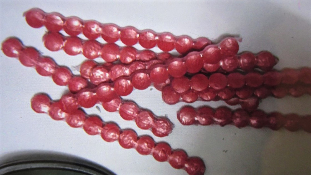 Anh-buon-ma-tuy-dn 3