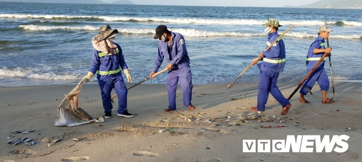 Anh-ca-chet-bien-dn 3