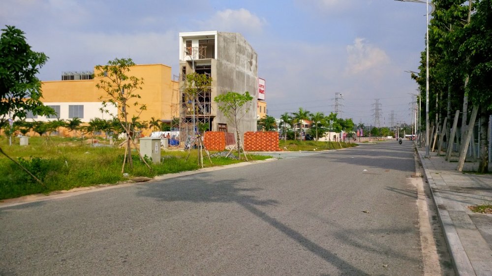 Hinh anh 5