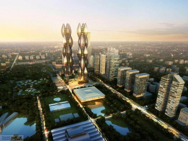 12_Diaoconline_DiamondRice_Phoicanh