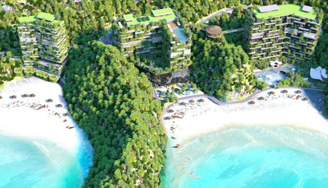 images2056904_Flamingo_Cat_Ba_