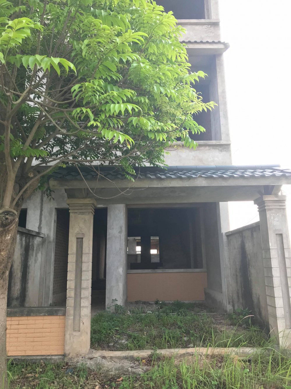 32076180_10211644120447979_4782672755290013696_n