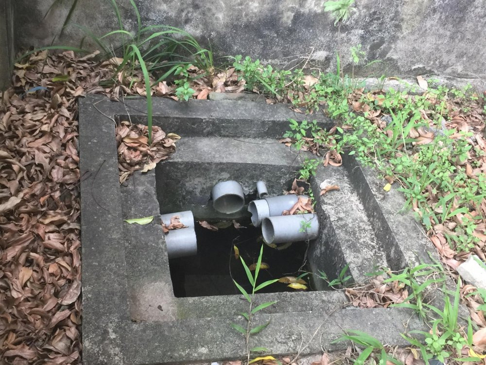 32082893_1470084529763193_5644653175265820672_n 3