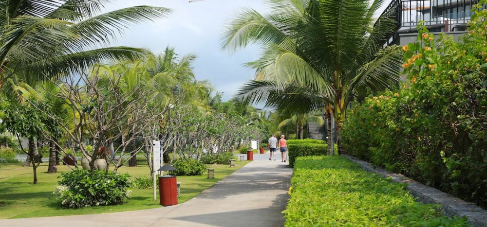 42190393_2210103579207732_2476606102834249728_n