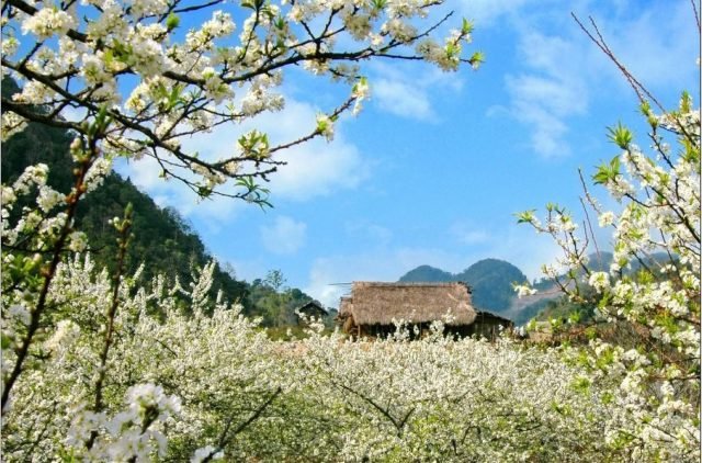 moc chau