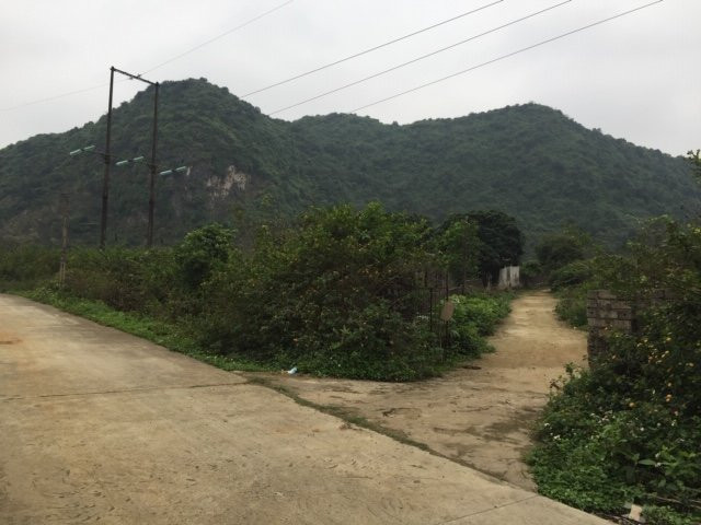 7ad8e7af63e0635c8ab179179861e8a4