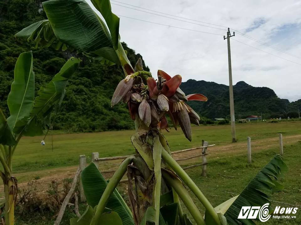 19260277_435530573512296_4122507803334684925_n