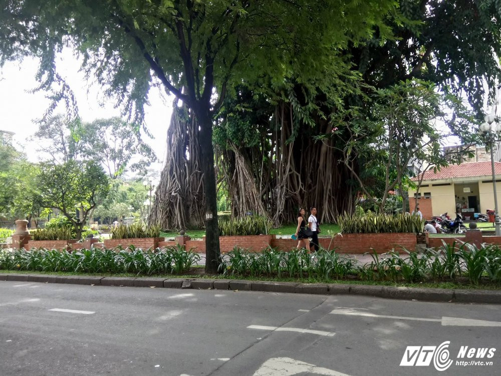 20707134_801557953354712_729967283_o