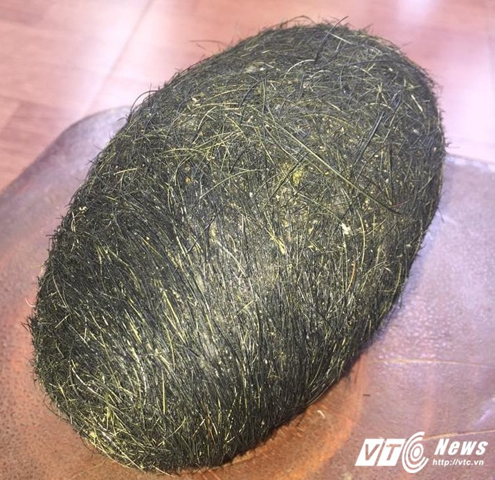 20727992_1473354609399036_3046047061647473777_n