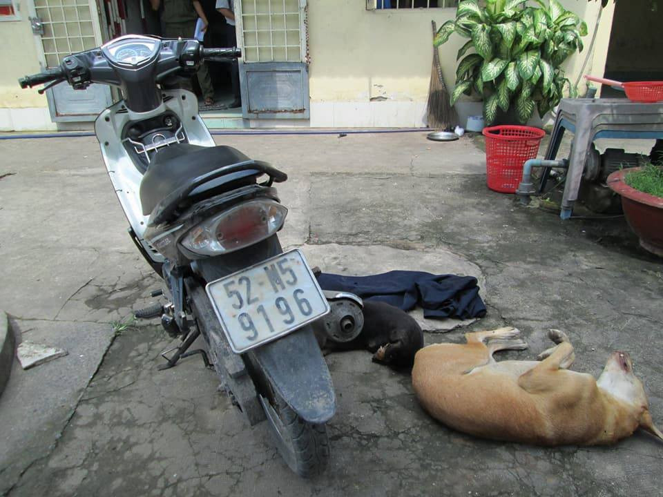 22046949_1907756626130821_1918900033715950645_n