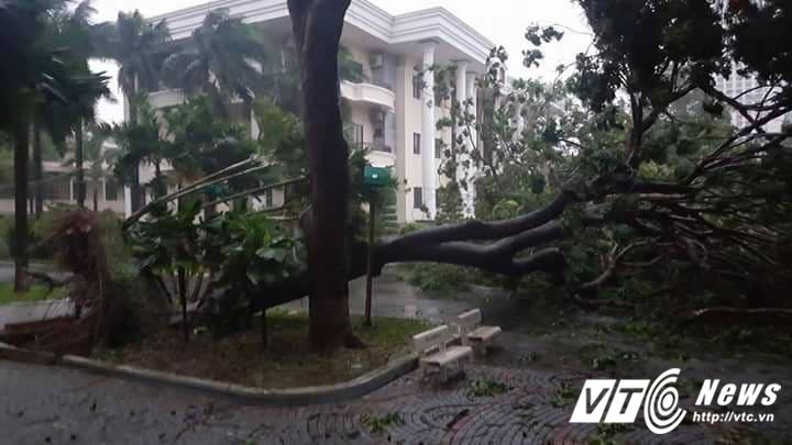 23172379_1561133767298202_2100495995629471937_n 5