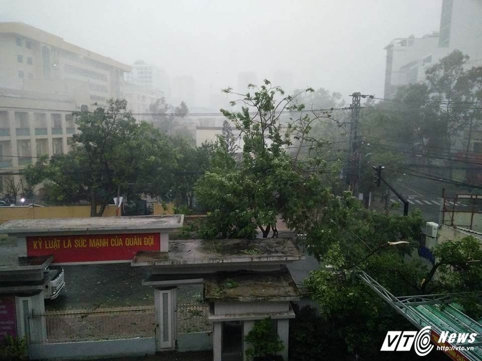 23226747_1950515431871563_222317512_n 5