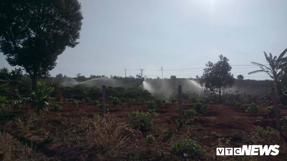 28275825_894129090764264_1925840827_o