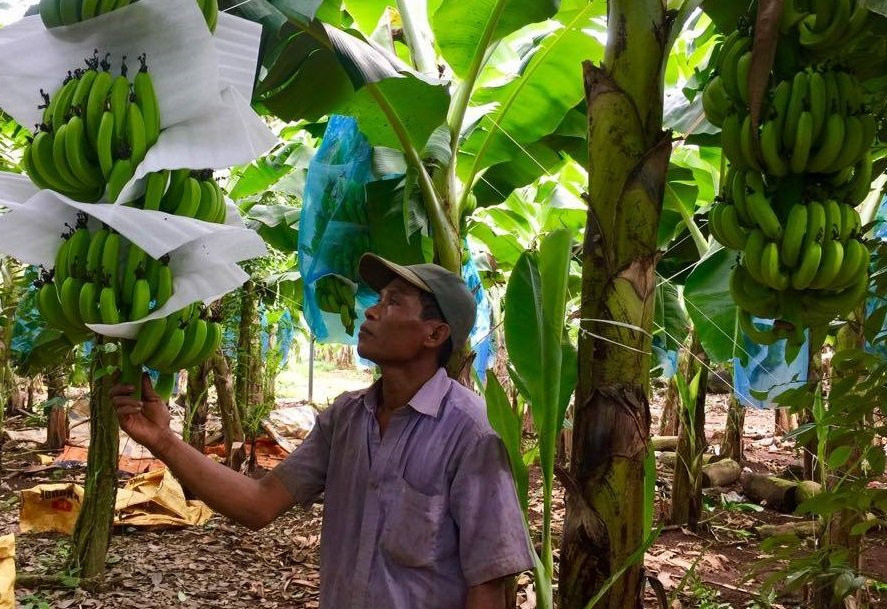 29680392_2064172867193047_2054861042_o