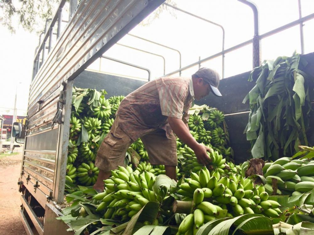 29748197_2064172847193049_1097303608_o