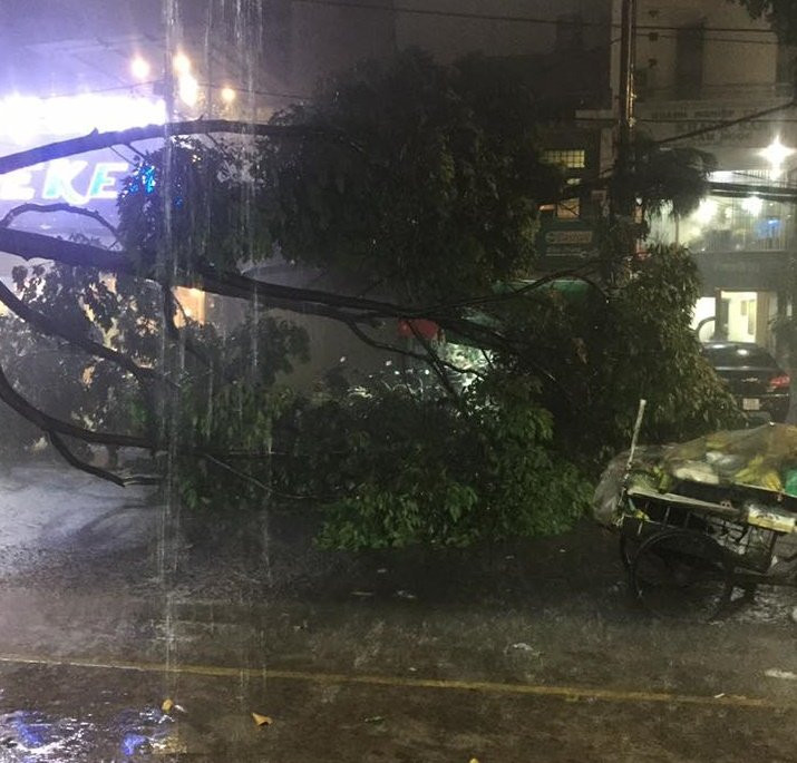 32853166_441518376297410_3095961616940793856_n 11