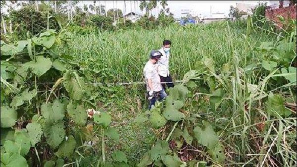 35971391_1799914340069554_592284176326066176_n