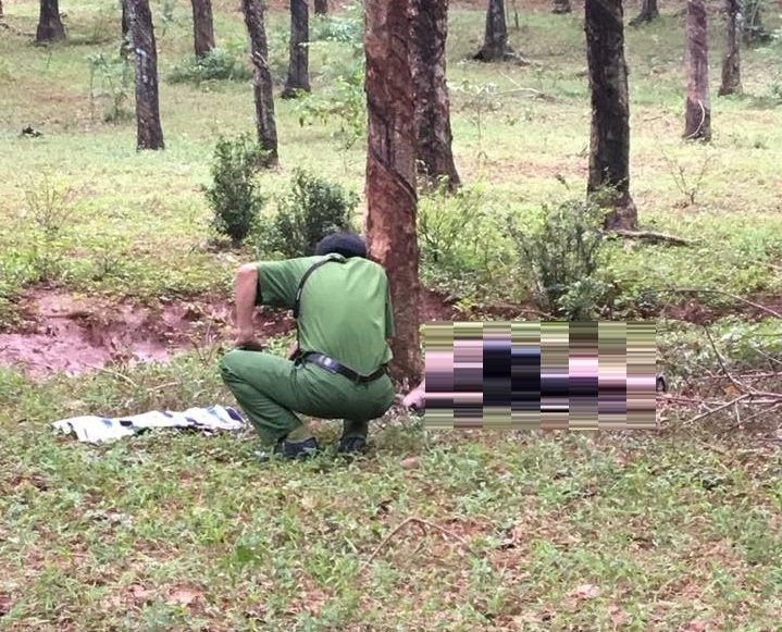 37074043_2082552155290118_3502815171582099456_n