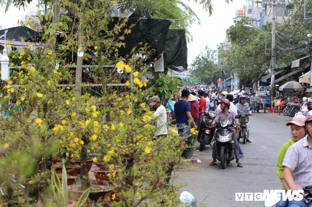 binhdongtet 5