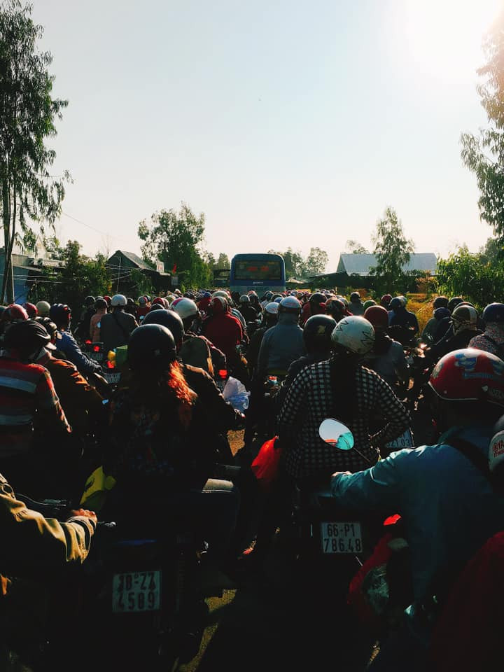 donthaptoilongan - quynhan 17