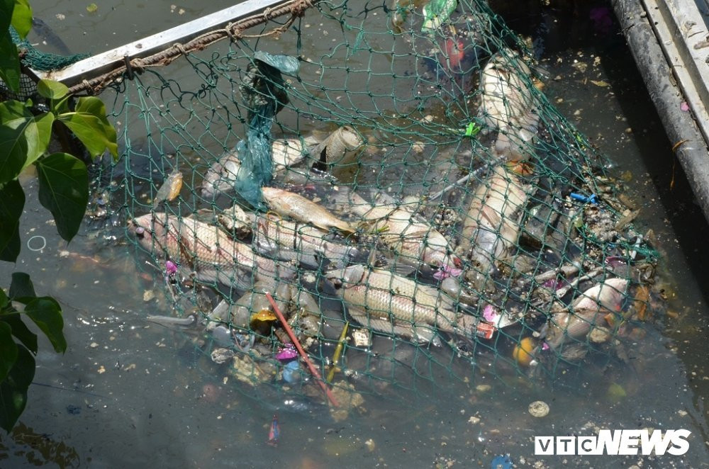 ca-chet-kenh-nhieu-loc