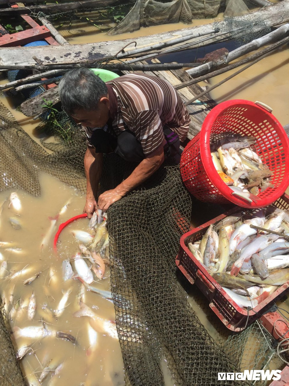 ca-chet-tren-song-la-nga