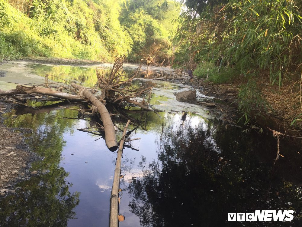 ca-chet-trang-song-dong-nai