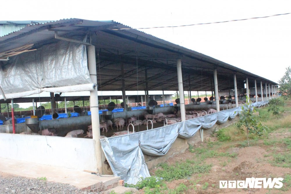 dich-ta-lon-cp-o-dong-nai