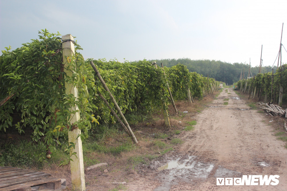 tap-doan-sagri-sai-pham