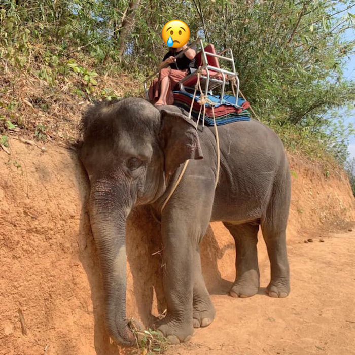 photo-1-1562689024422552338625