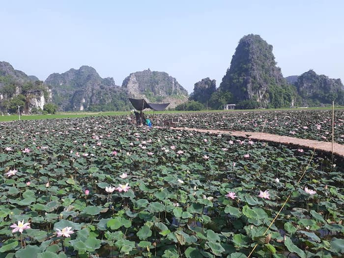 69243619_1678764145591941_6133149724582084608_n 5