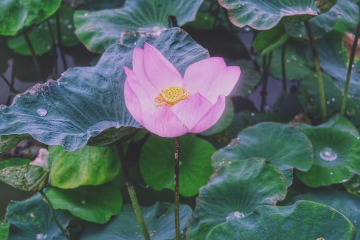 69765310_2326664390784090_1224261594293207040_n