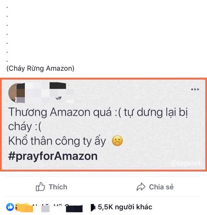 amazon