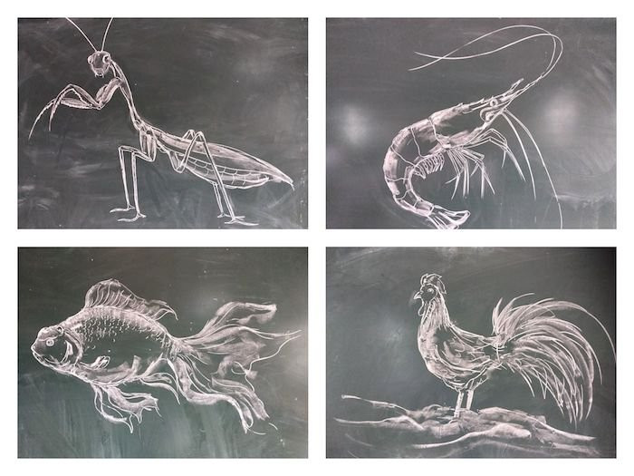 70688719_2406939089390190_1926174016280723456_n