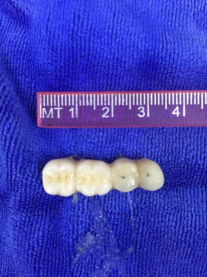 42373630_829566010766541_8278123535428222976_n