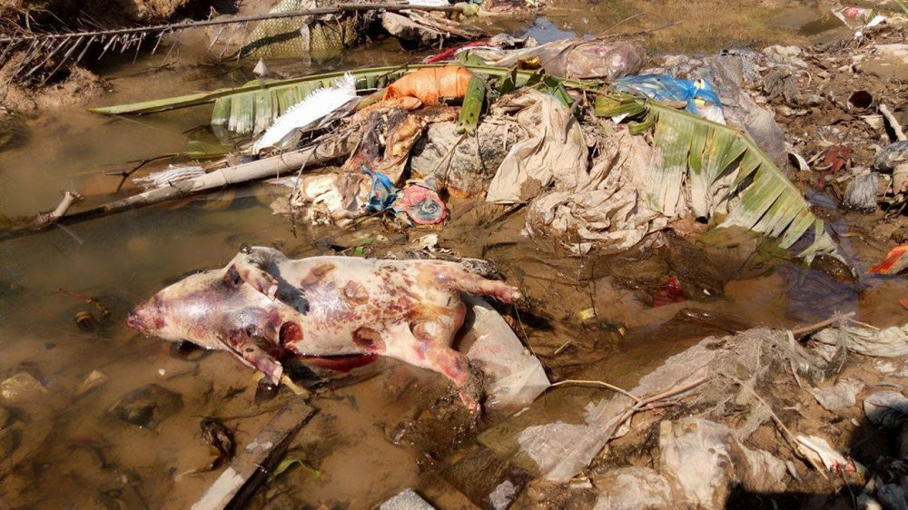 xac lon tha troi song 3